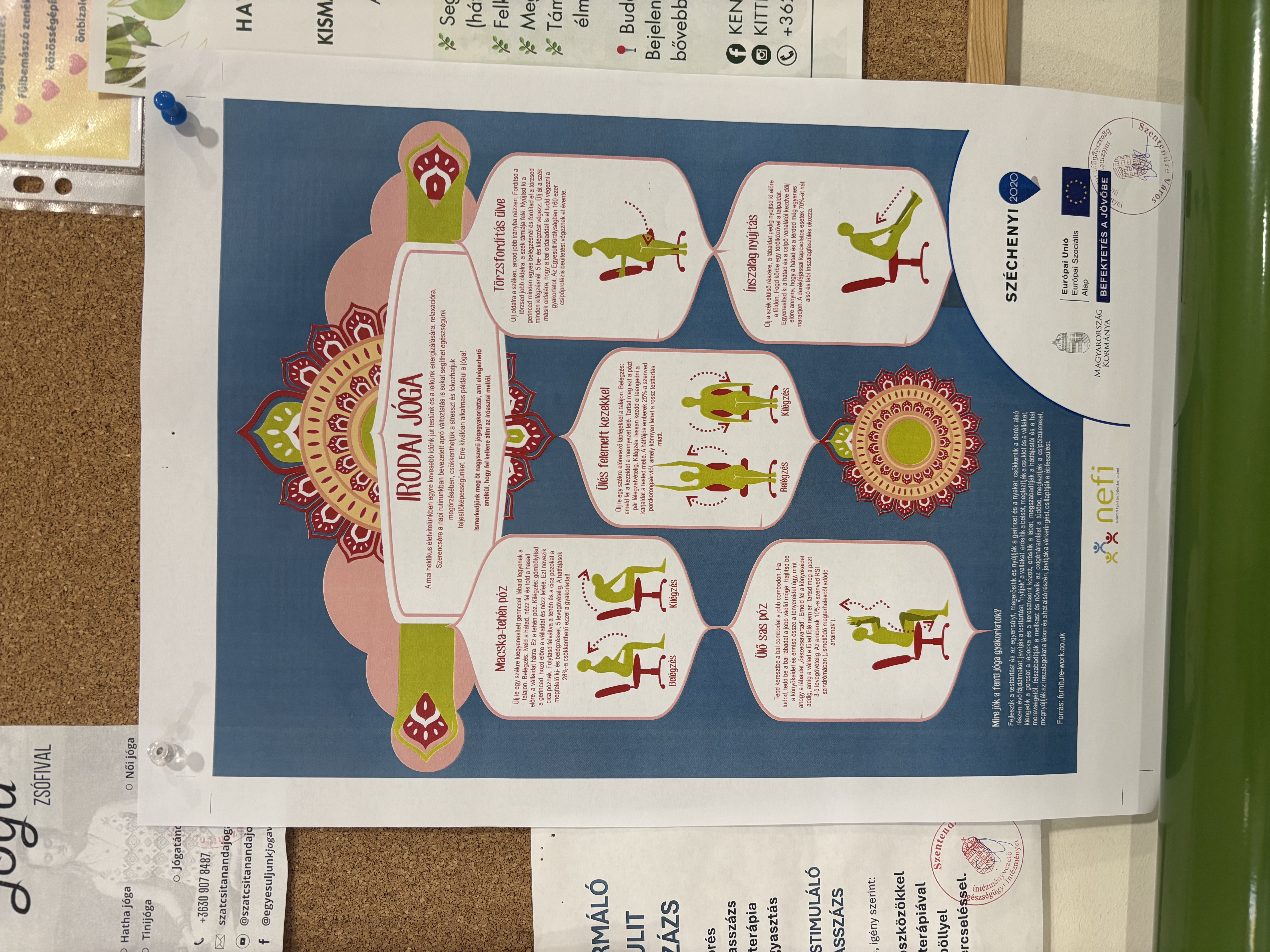 Egészségkommunikáció 3