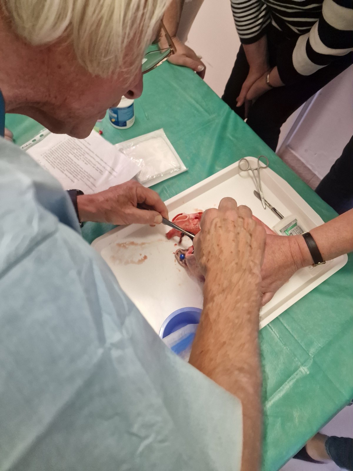 Munkahelyi egészségfejlesztés 30