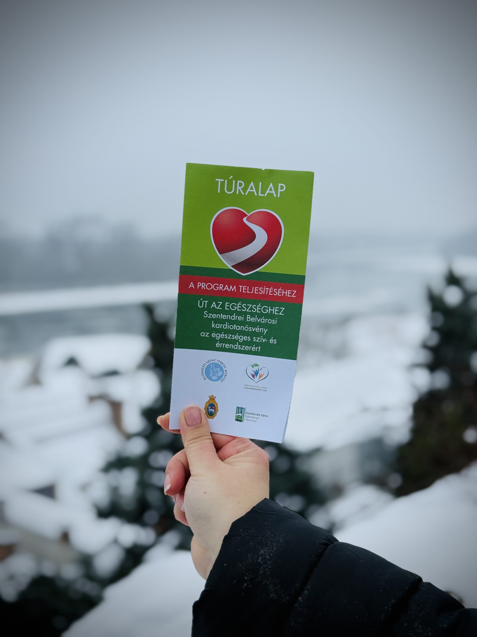 Munkahelyi egészségfejlesztés 6